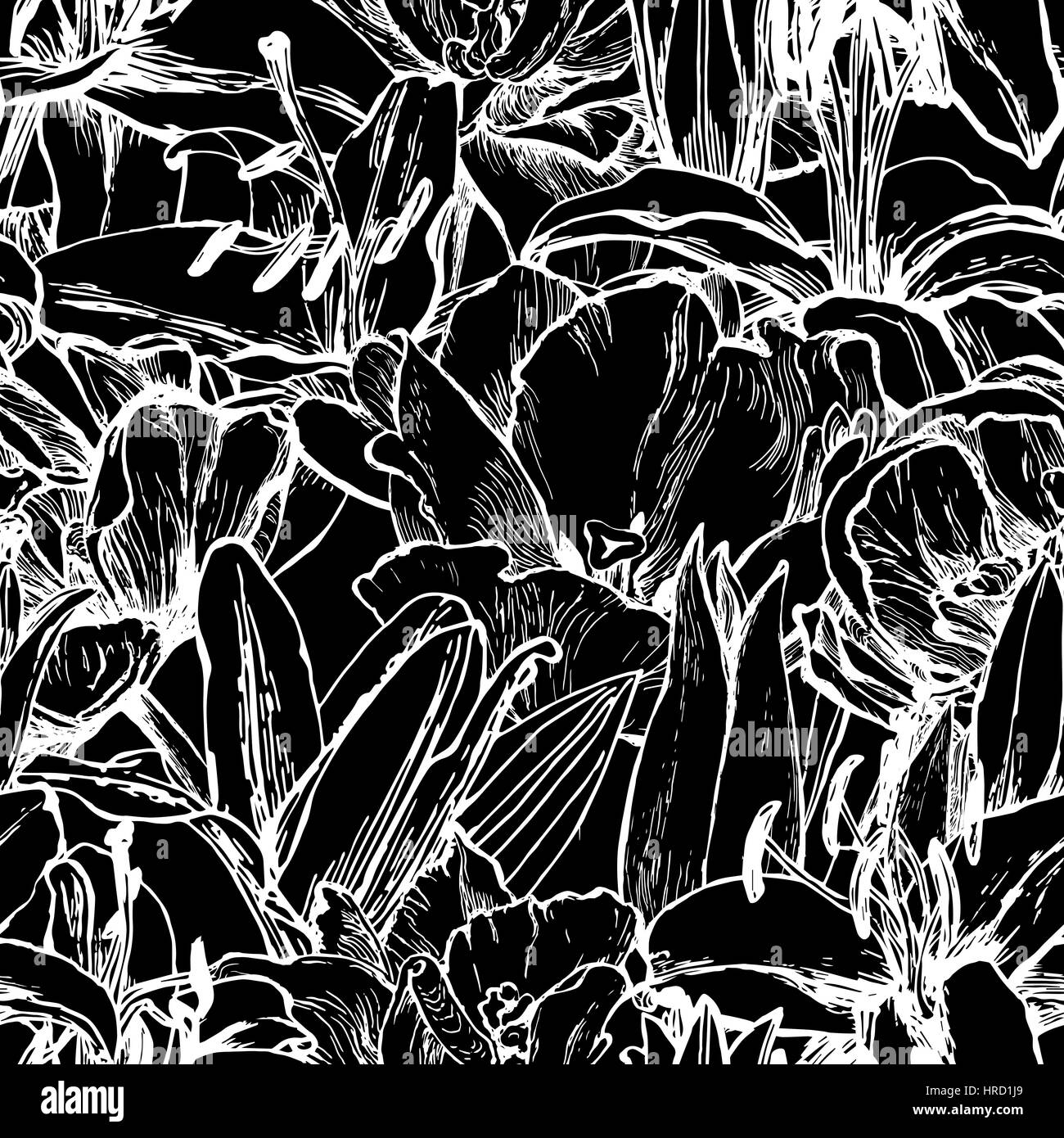 Motif graphique florale. Les fleurs exotiques. Silhouette de lys et les tulipes. Contours blanc sur fond noir. Vintage print. Le design textile. Illustration de Vecteur