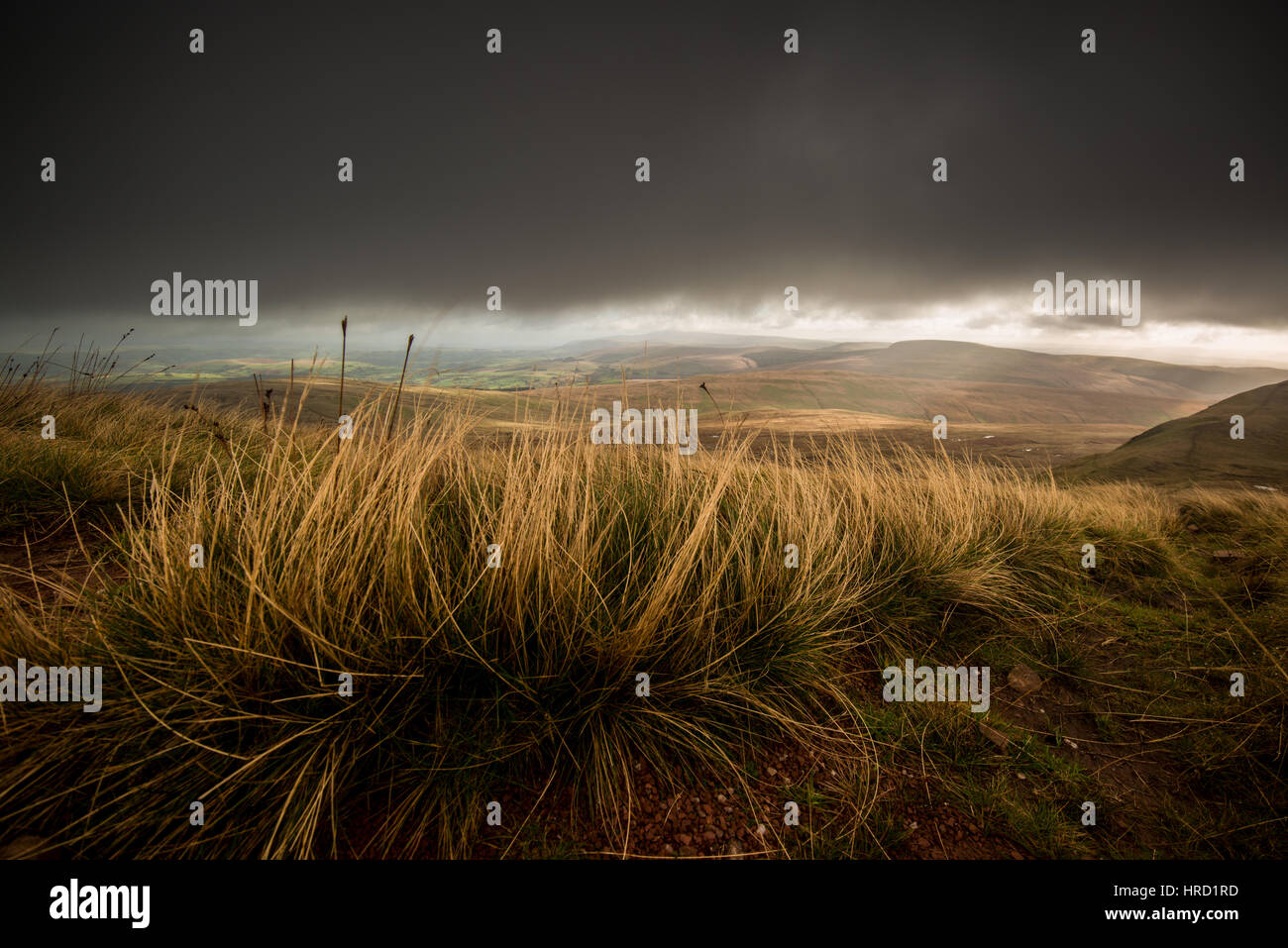 Vue sur Llyn y Fan Fawr, parc national de Brecon Beacons Banque D'Images