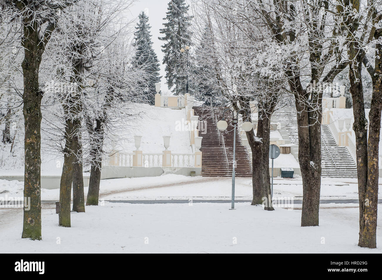 Parc de la ville en hiver, les arbres couverts de givre Banque D'Images