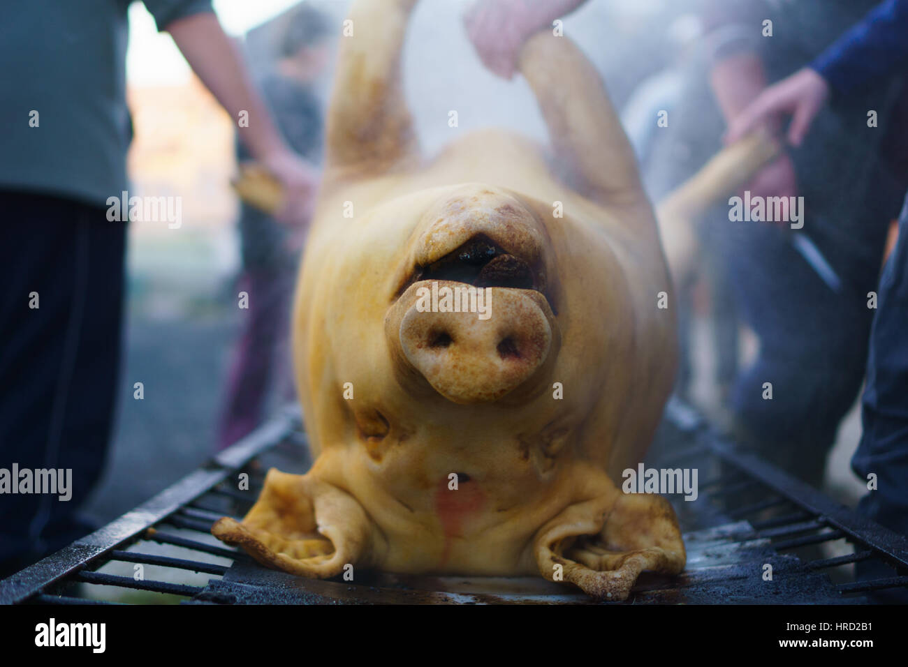 Les hommes se laver après l'abattage d'un porc, comme une tradition hongroise avant Noël. Banque D'Images