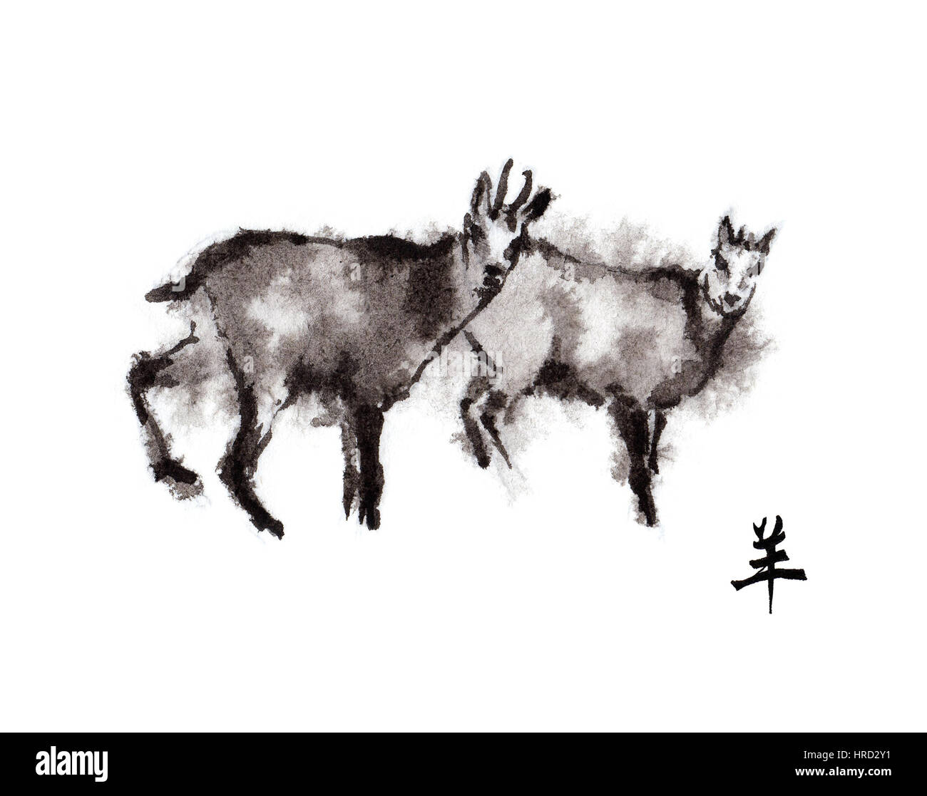 Deux chèvres chamois homme et femme d'encre oriental peinture avec hiéroglyphe chinois chèvre ''. Symbole de la nouvelle année de la chèvre, brebis. Banque D'Images