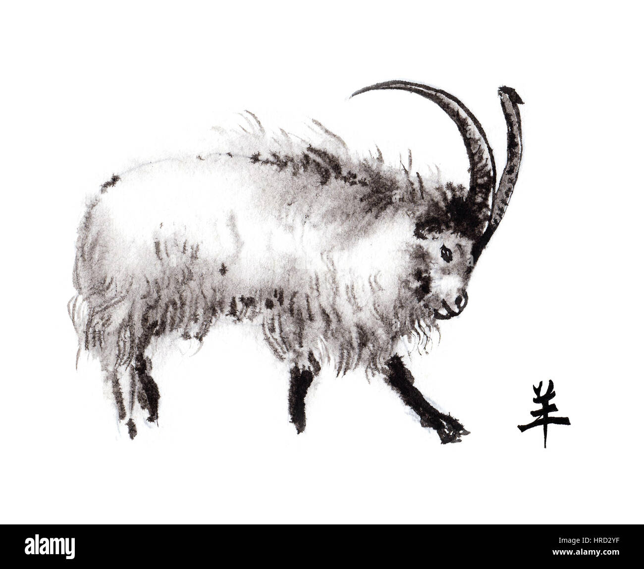 La chèvre du Cachemire encre oriental peinture avec hiéroglyphe chinois chèvre ''. Symbole de la nouvelle année de la chèvre, brebis. Banque D'Images