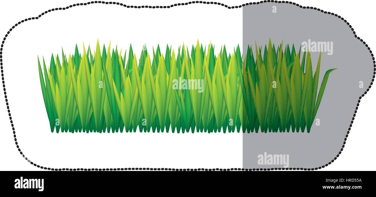 L'icône d'herbes hautes en couleur Image Vectorielle Stock - Alamy