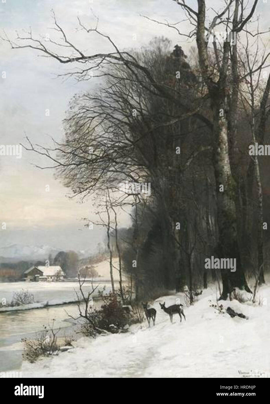 Andersen-Lundby Anders Rehe einem verschneiten Tal dans den Voralpen Banque D'Images