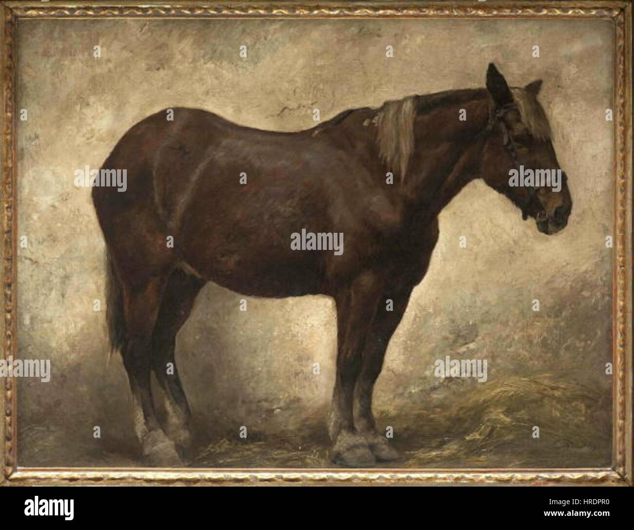 Sobeslav Hippolyt Pinkas 7. 10. 1827-30. 12. 1901 Tazny - kun Banque D'Images