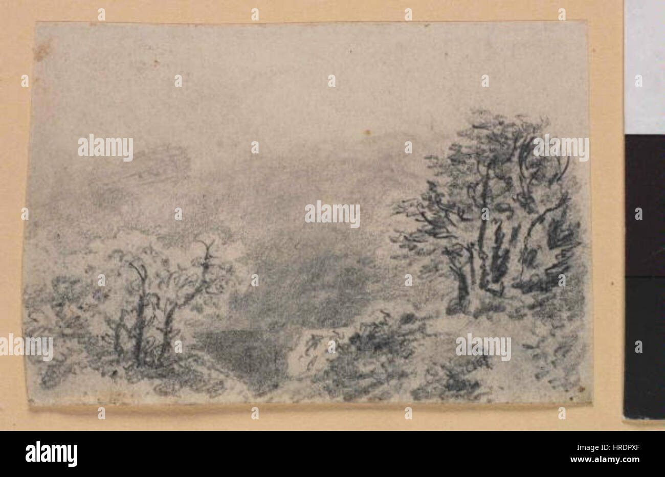 Le 'Lesná krajina Krajina se stromy' (paysage forestier avec arbres) d'August Bedrich Piepenhagen dépeint une scène boisée paisible, mettant en valeur le talent de Piepenhagen pour capturer le monde naturel avec des couleurs riches et des détails complexes. Banque D'Images