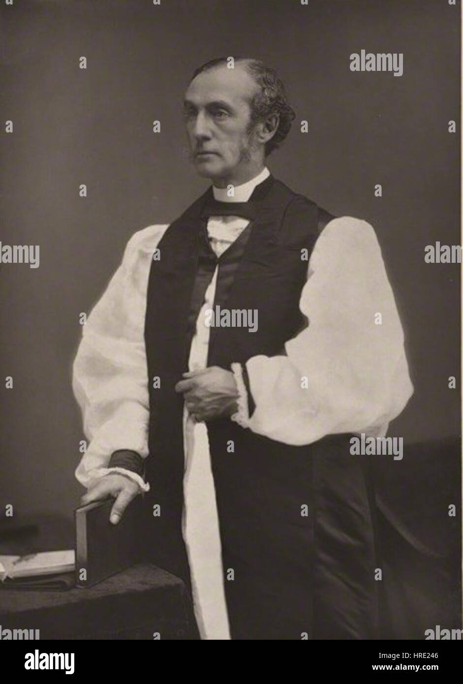 Le portrait de l'APB William Dalrymple Maclagan présente l'archevêque en tenue formelle, soulignant son rôle au sein de l'église. La composition se concentre sur son expression digne et sa présence ecclésiastique. Banque D'Images