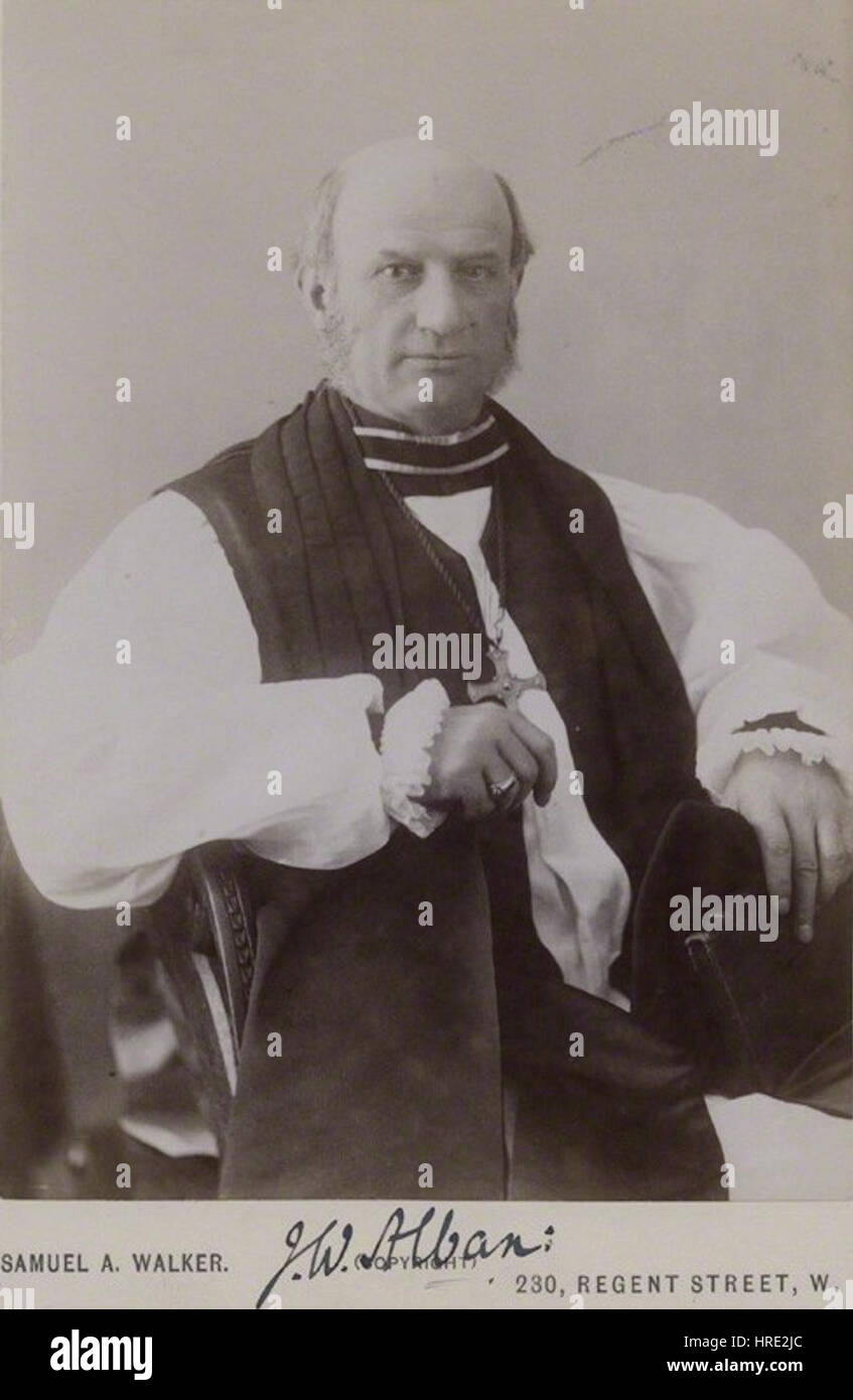 Portrait de J.W. Festing, évêque de conditionnalbans, par un artiste inconnu. Le portrait le représente en tenue ecclésiastique complète, incarnant la dignité et l'autorité de son bureau, tandis que l'artiste transmet habilement la gravité formelle de sa position au sein de l'église. Banque D'Images
