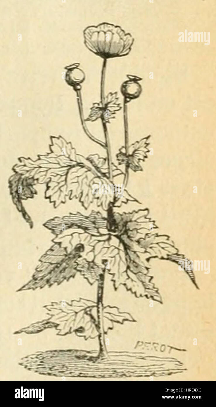 « Le Tour de la France par deux enfants » de G. Bruno est une illustration historique et éducative tirée d’un livre populaire pour enfants du XIXe siècle, mettant en valeur la géographie et la culture de la France. Banque D'Images
