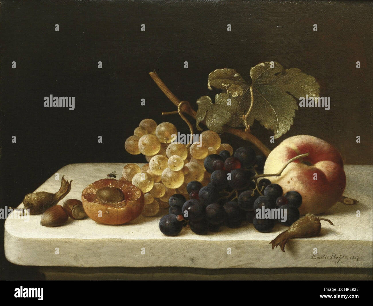 Emilie Preyer - Weintrauben, Eicheln, eine Aprikose und ein Pfirsich auf einem von Gesims Fliege Banque D'Images