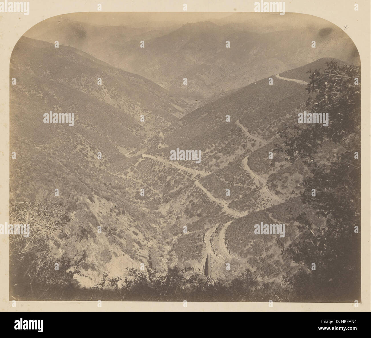 Carleton Watkins (American - (Hell's Hollow) - Google Art Project Banque D'Images