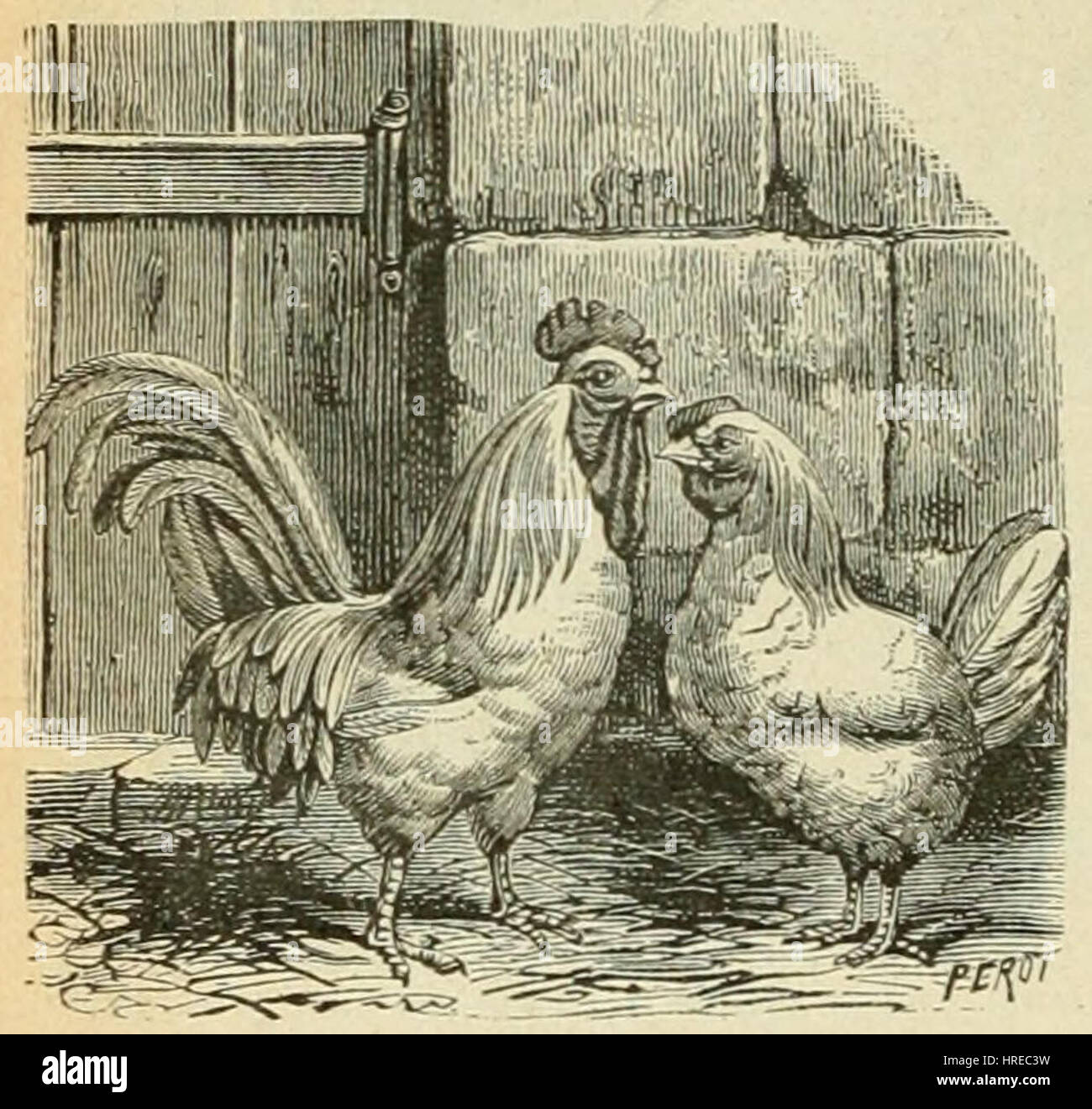 Cette illustration tirée de 'le Tour de la France par deux enfants' de G. Bruno présente une scène éducative où les enfants se lancent dans un voyage à travers la France, en apprenant la géographie et la culture. L'œuvre reflète le thème de l'éducation et de l'exploration du livre. Banque D'Images