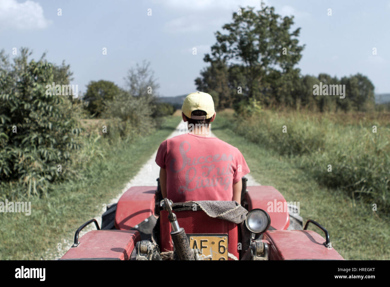 L'homme sur un tracteur foin récolte à Magliano Alfieri, qui est situé dans la province du Piémont, en Italie. Banque D'Images