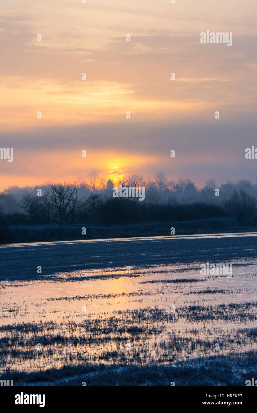 Lever du soleil sur un brouillard froid hiver glacial matin dans la campagne de l'Oxfordshire. Rois Sutton, Oxfordshire / Northamptonshire frontière, UK Banque D'Images