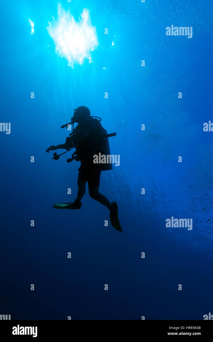 Scène sous-marine avec la silhouette d'un plongeur dans l'arrière-plan de la lumière solaire plongée cubain Banque D'Images