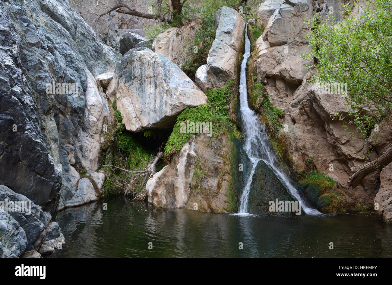Un coup horizontal de Darwin Falls, une petite mais belle chute d'eau alimenté par une source dans les rochers et végétation luxuriante. Banque D'Images