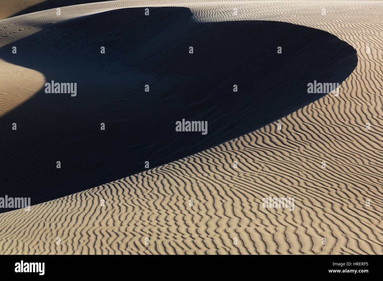 Oceano Dunes Natural préserver, en Californie Banque D'Images