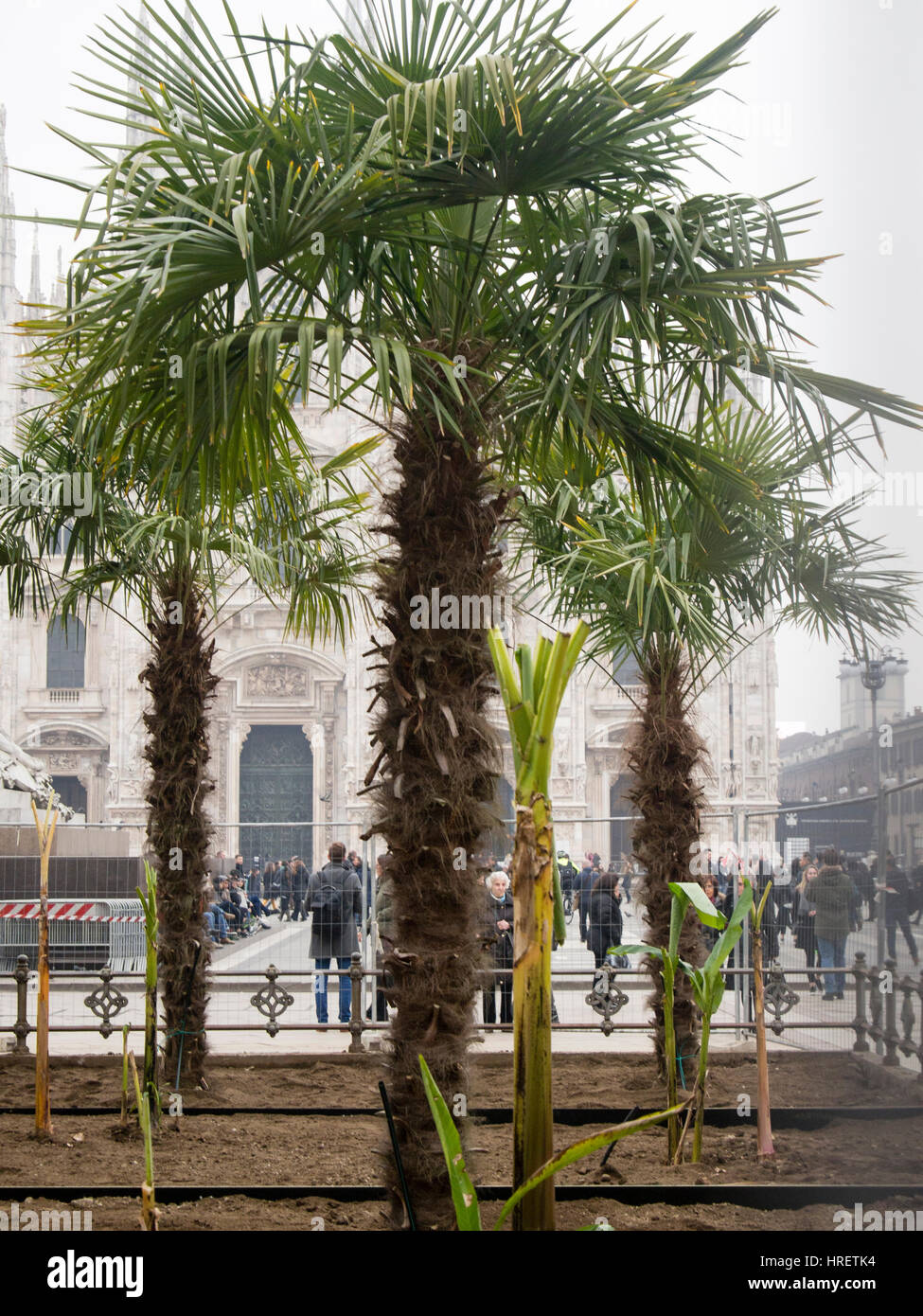 Palms Starbucks à Milan, et les chauffeurs de taxi protestent contre super inPiazza Duomo, au cours de la Fashion Week de Milan - 24 Février 2017 Banque D'Images