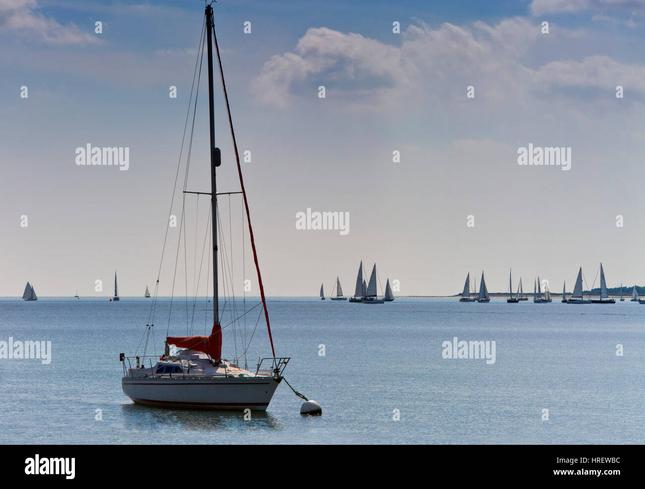 Yachts et bateaux pour la collecte d'un yacht de course au large de la côte d'Essex sur une journée ensoleillée, avec un voilier amarré dans l'avant-plan Banque D'Images