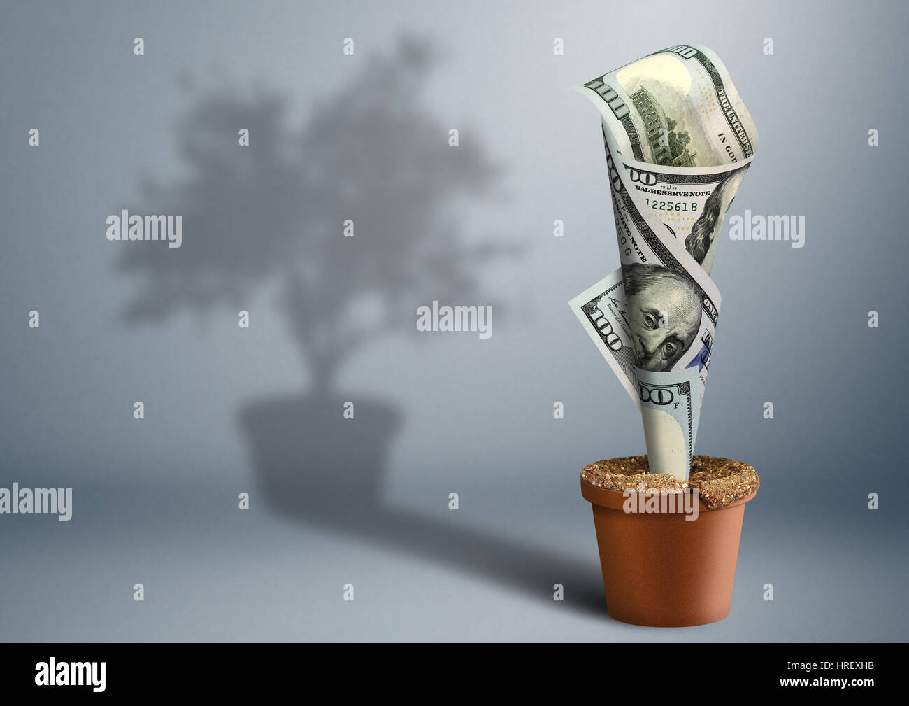 Finances concept créatif, de l'argent comme arbre en pot Banque D'Images