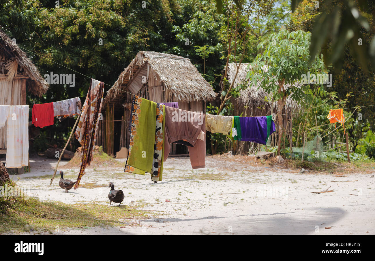 Huttes malgaches traditionnelles africaines dans la région de Maroantsetra, village typique du nord-est de Madagascar, le parc national de Masoala, province de Toamasina. Banque D'Images