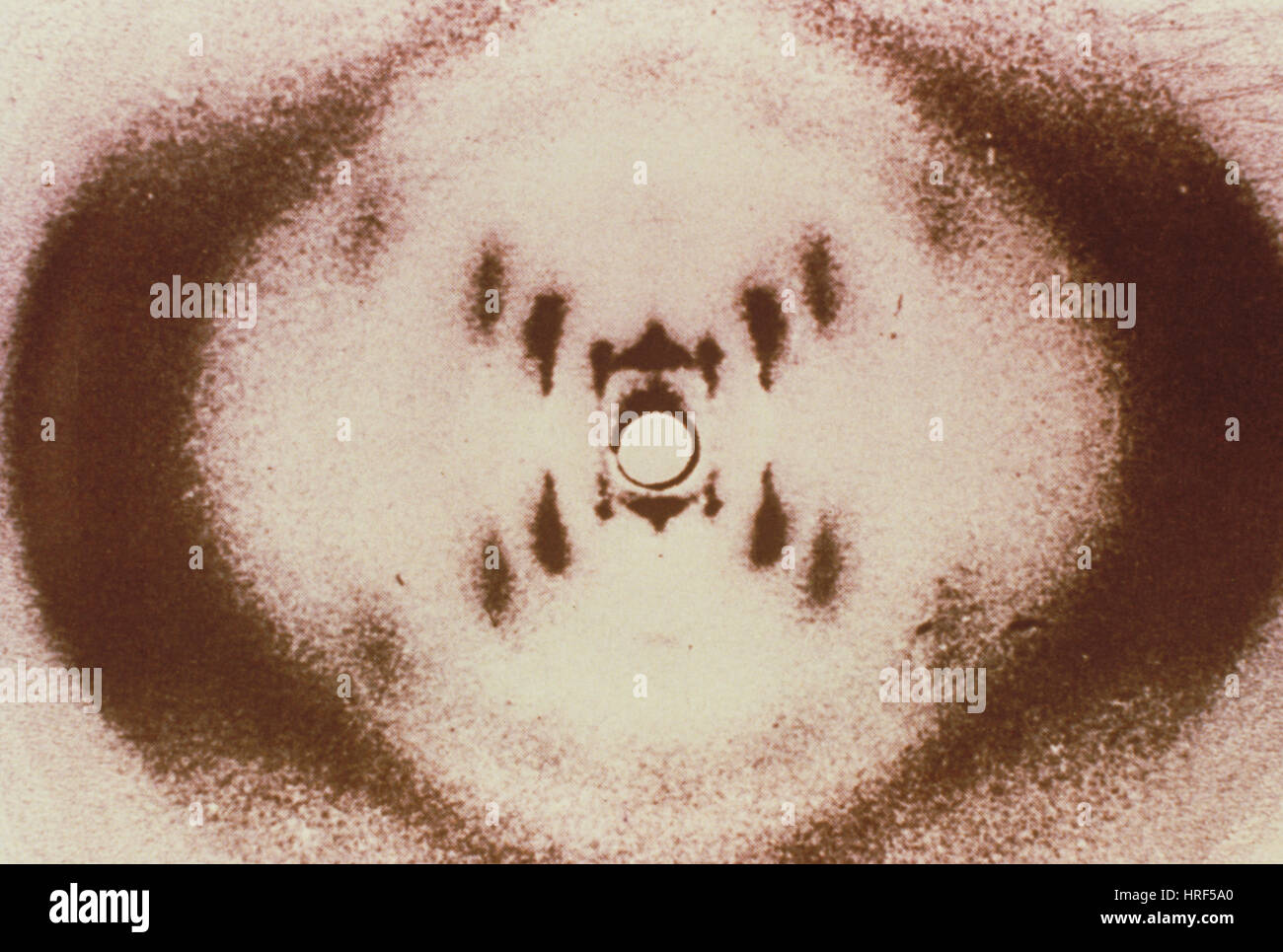 Radiographie De L Adn Photo Stock Alamy