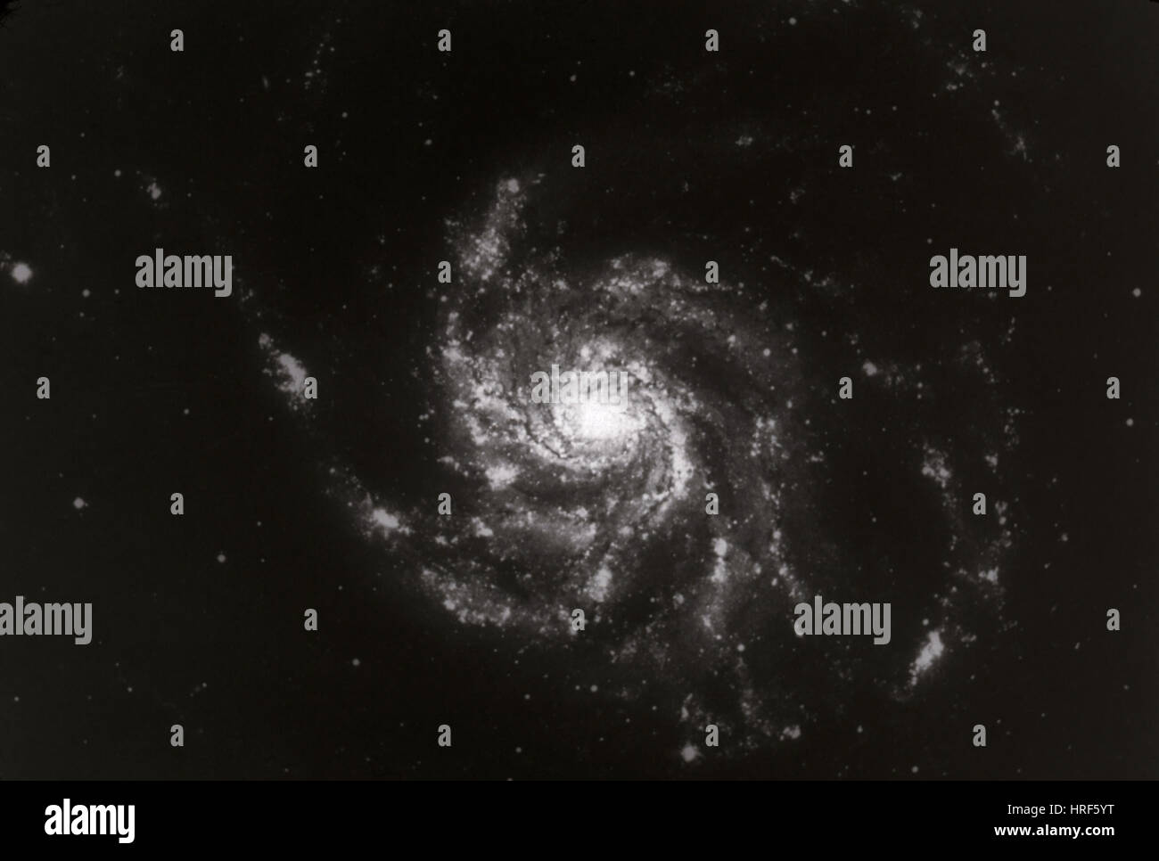 Pinwheel Galaxy, M101 Banque D'Images