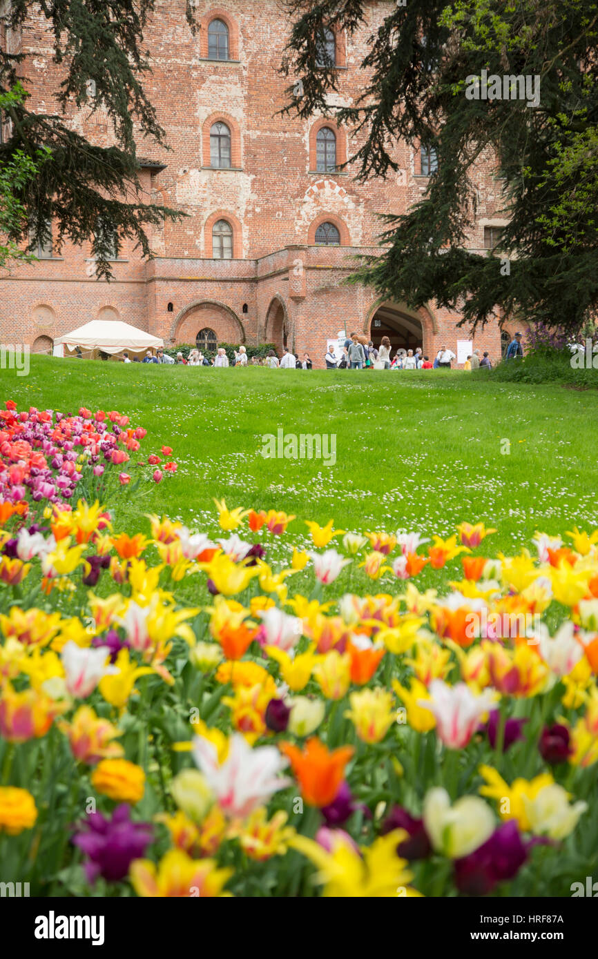 Magnifiques tulipes sur le jardin du Château de Pralormo, Turin, Piémont, Italie Banque D'Images