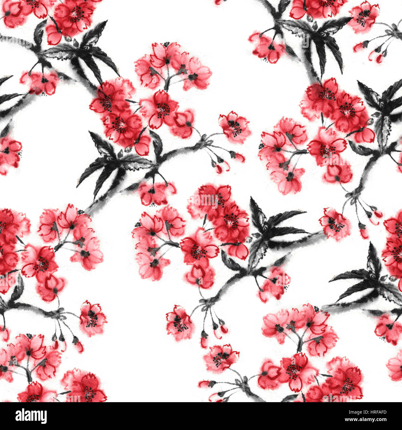 Branches de la fleur de cerisier, arrière-plan transparent, encre d'ORIENT fait main peinture, sakura de style sumi-e. Banque D'Images