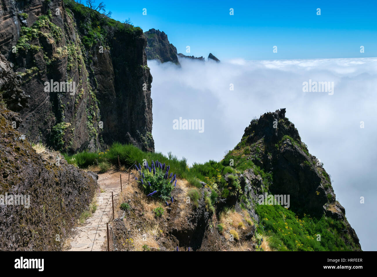Randonnée Pico do Arierio, Pico Ruivo, Madeira, Portugal Banque D'Images