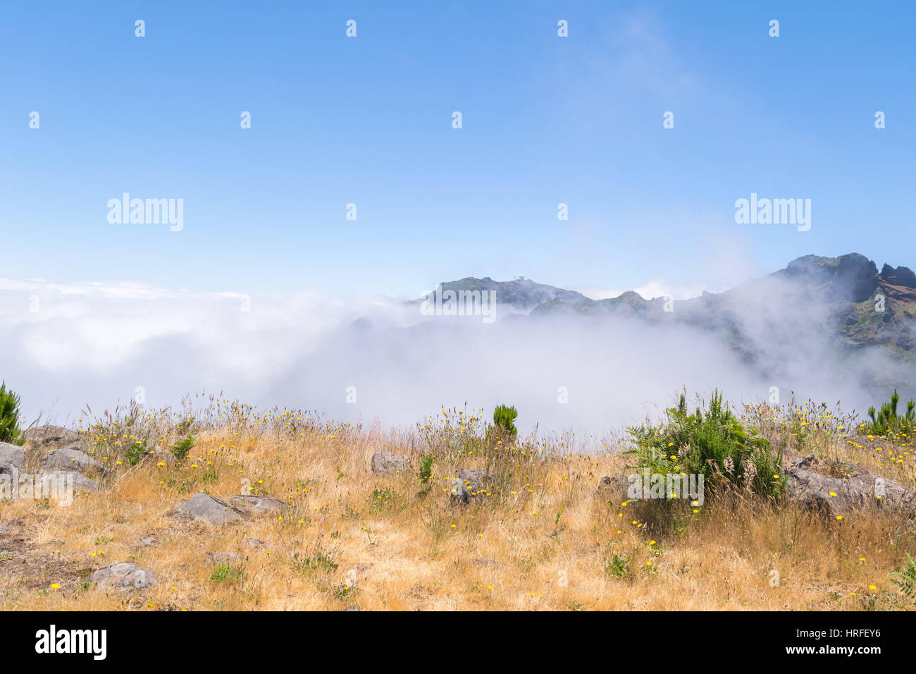 Randonnée Pico do Arierio, Pico Ruivo, Madeira, Portugal Banque D'Images