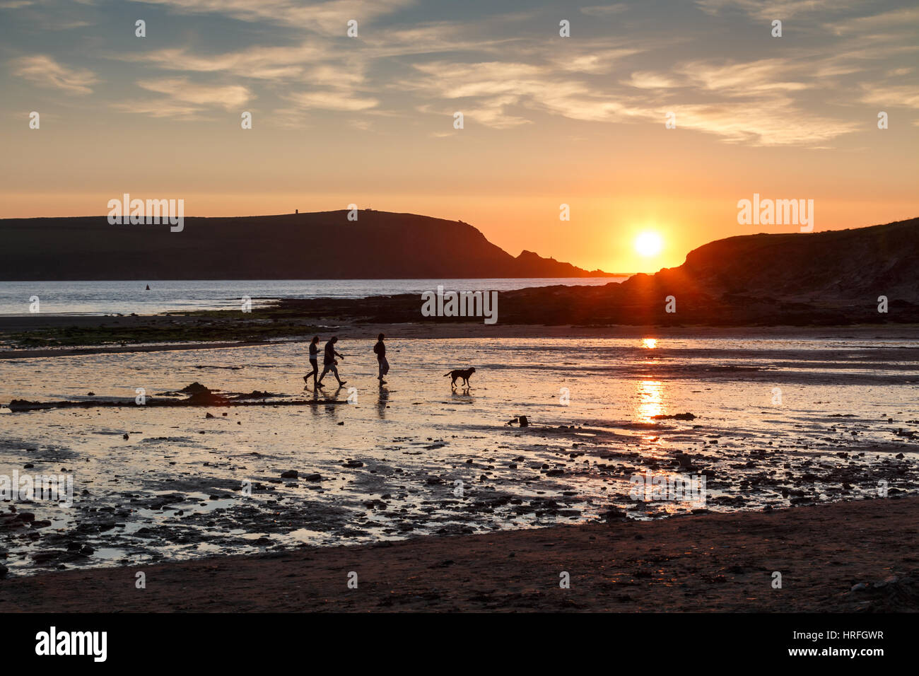 Une famille avec chien en silhouette marcher sur une plage de Daymer Bay à Cornwall au coucher du soleil. Le soleil qui se reflète sur le sable humide et la mer Banque D'Images