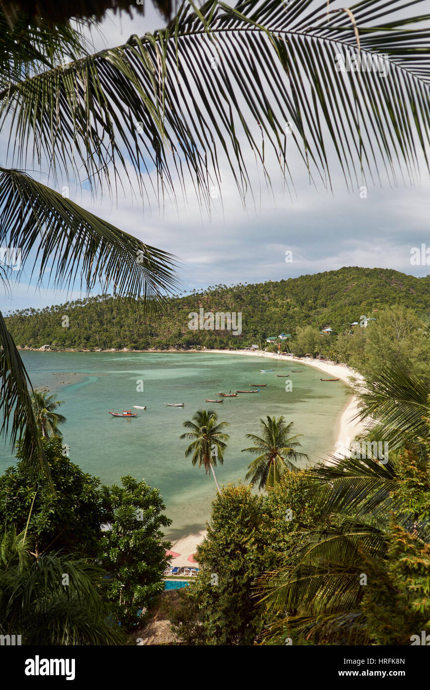 Vue de dessus par le biais de feuilles de palmier à Haad Salad Beach sur l'île de Koh Phangan, Thaïlande Banque D'Images