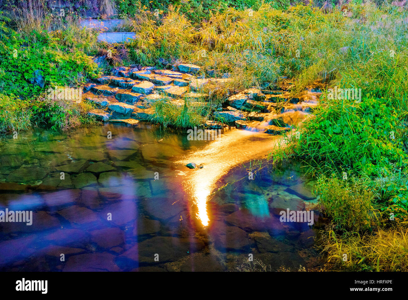 L'eau douce dans un ruisseau dans la nuit avec des pierres Banque D'Images