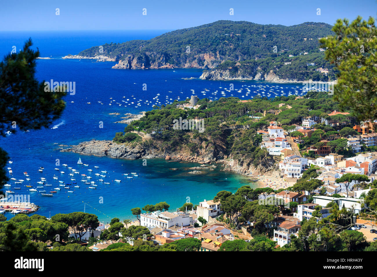 Vue de la ville et de la plage de Llafranc, Costa Brava, Espagne Banque D'Images