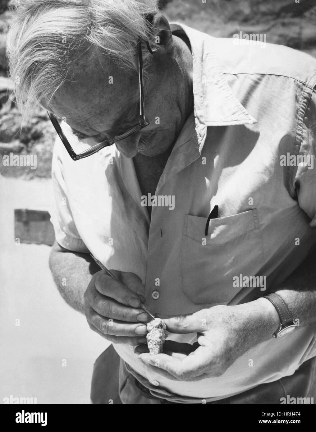 Louis Leakey, archéologue kényan Banque D'Images