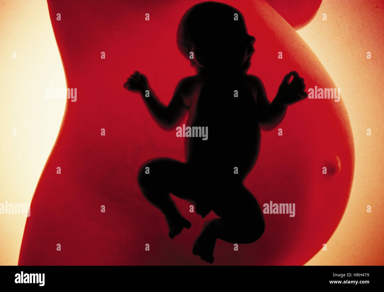 La Reproduction Humaine Photo Stock Alamy La Reproduction Humaine Photo Stock Alamy