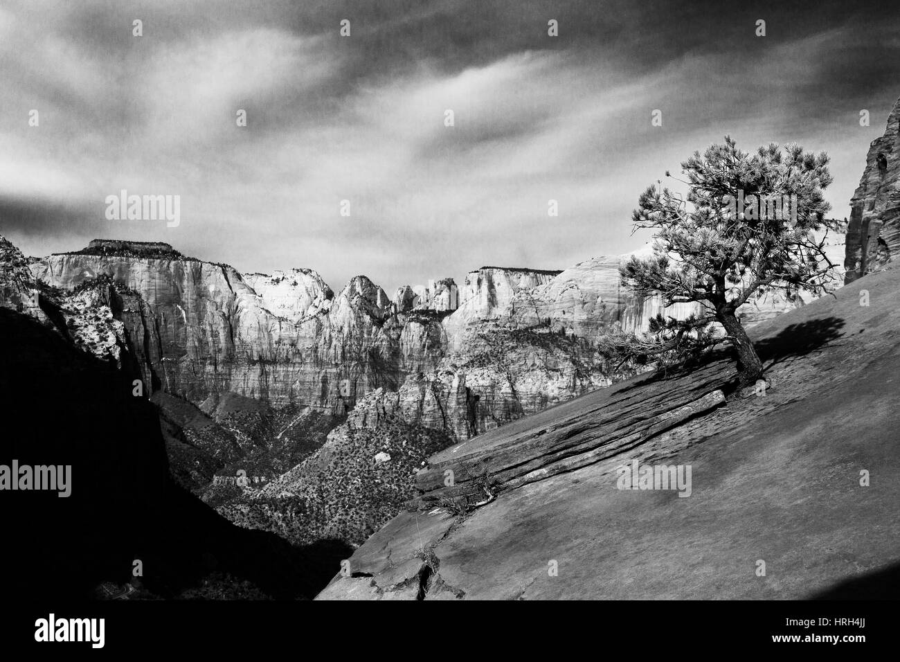 Zion National Park, Utah, USA Banque D'Images