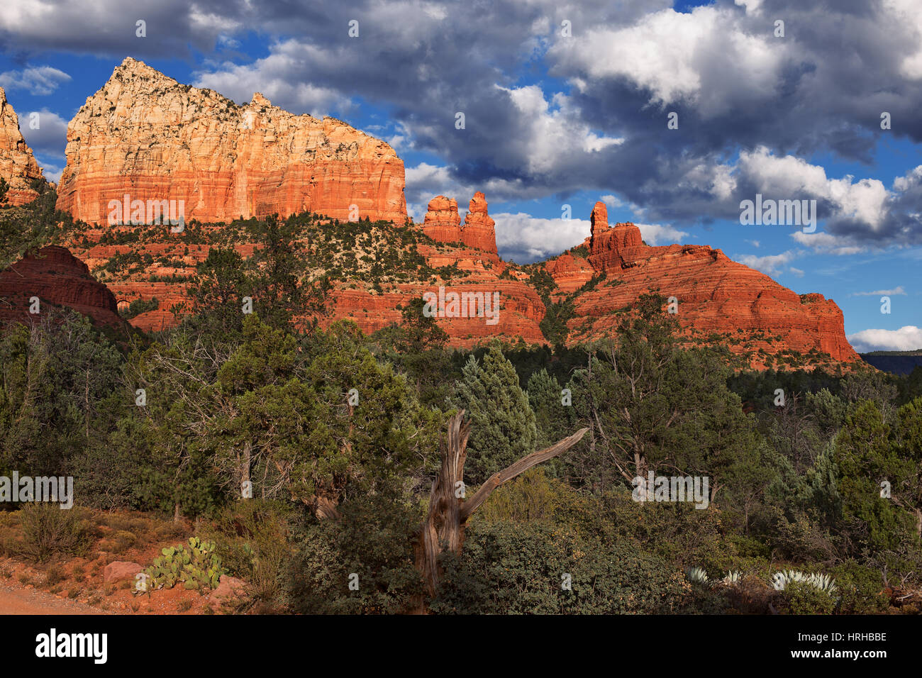 Paysage de rochers rouges de Sedona en Arizona Banque D'Images