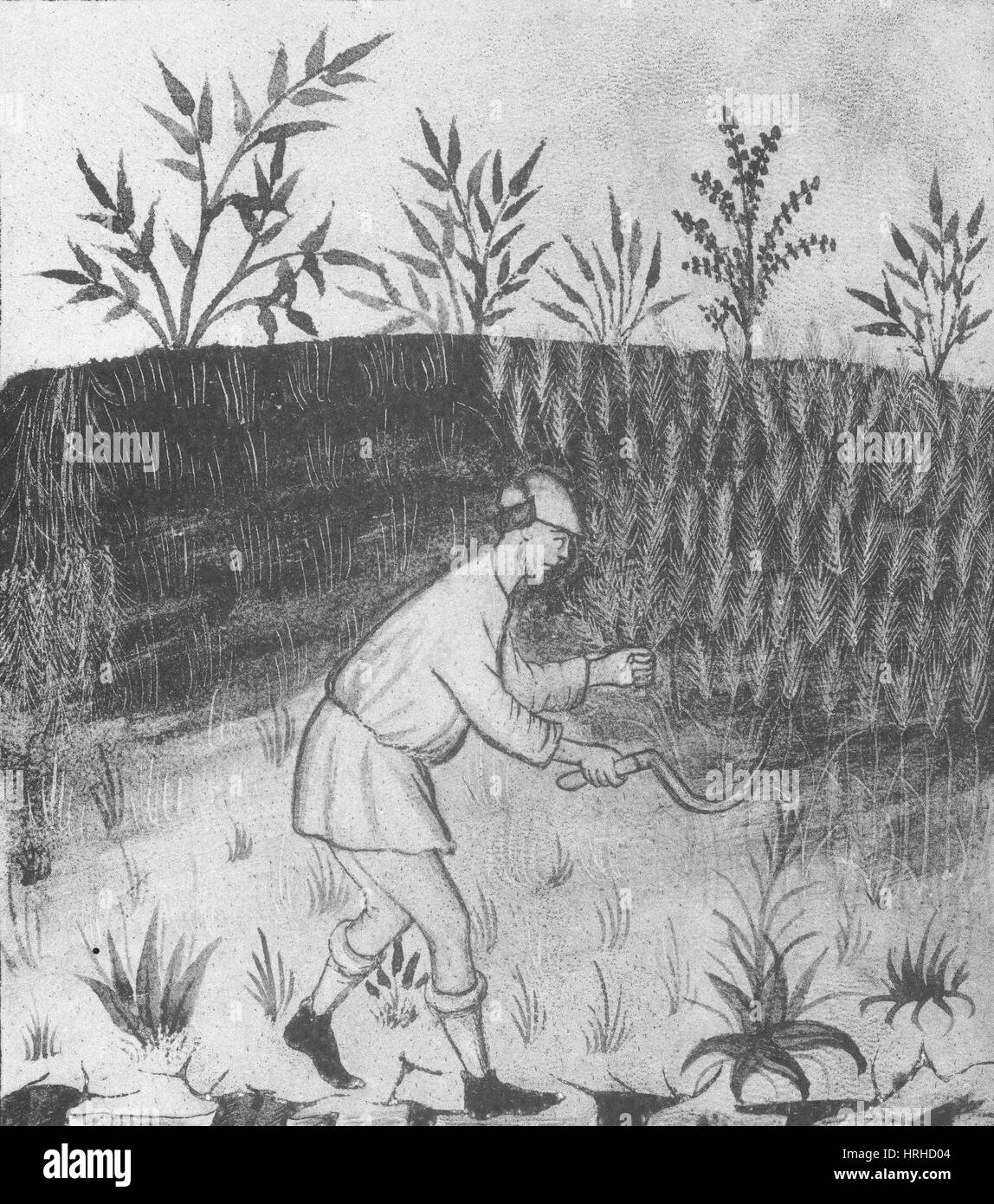 L'agriculture, de l'agriculture médiévale Banque D'Images