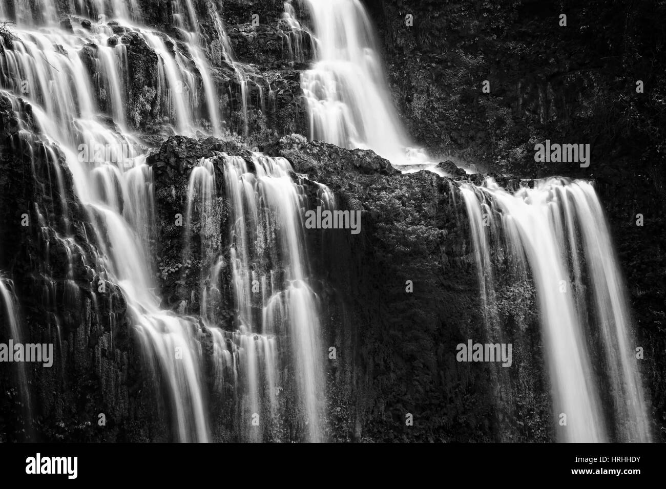 Belle cascade en forêt vert, noir et blanc Banque D'Images