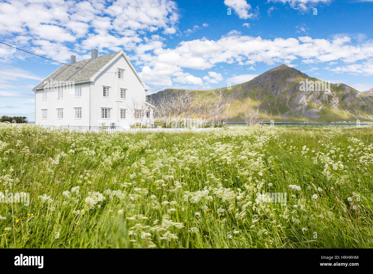 Domaine de fleurs le châssis en bois typique maison entourée de sommets et de mer bleue, Flakstad, îles Lofoten, Norvège Banque D'Images