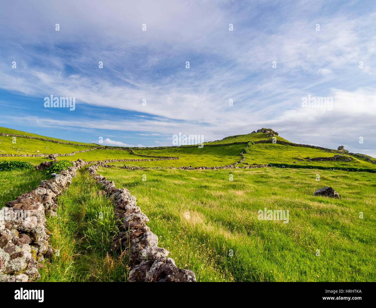 Champs verts sur l'Île, Corvo, Açores, Portugal, Atlantique Banque D'Images