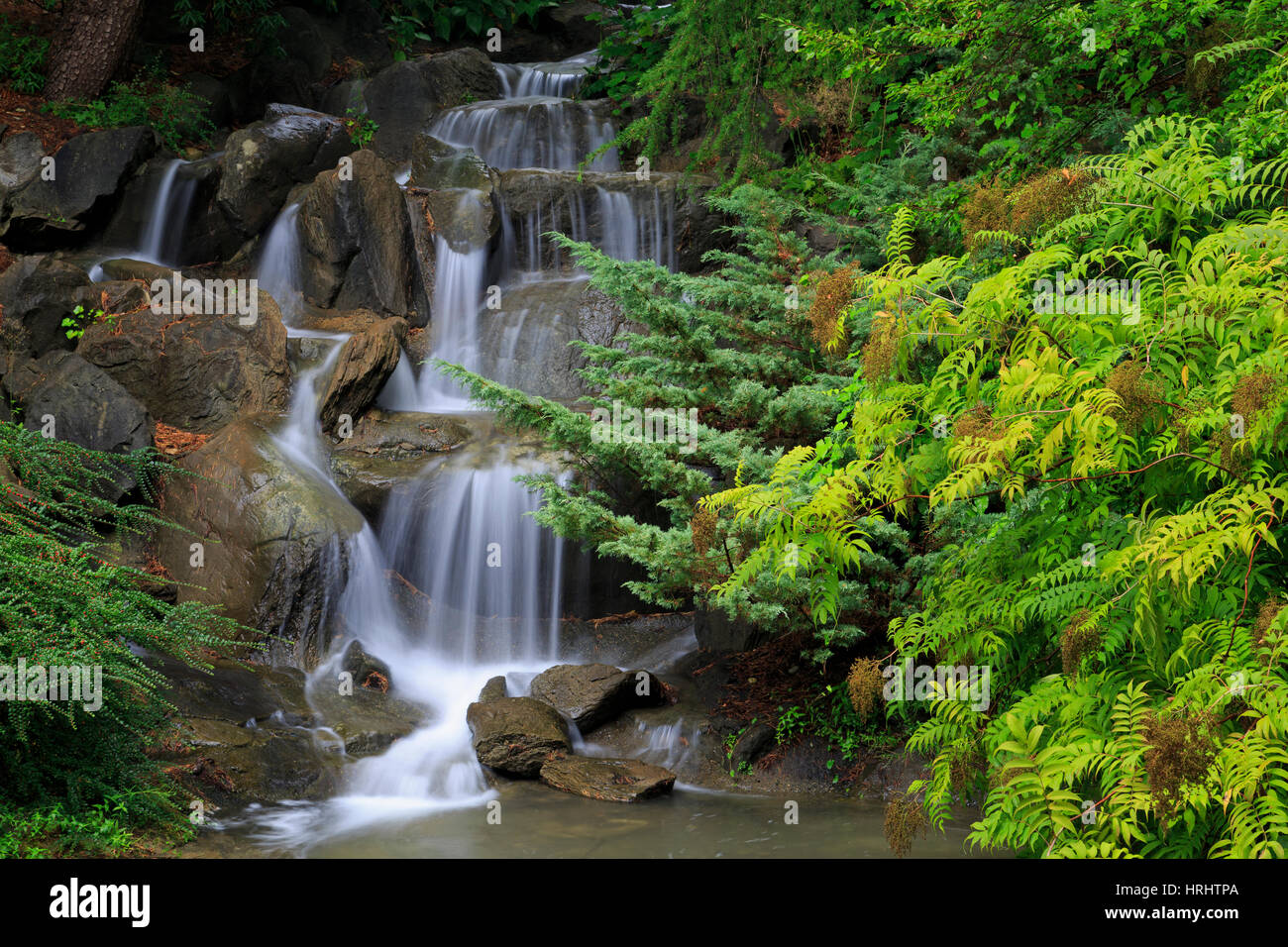 Cascade, VanDusen Gardens, Vancouver, British Columbia, Canada, Amérique du Nord Banque D'Images