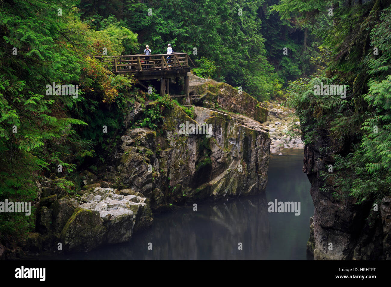 Capilano River Regional Park, Vancouver, British Columbia, Canada, Amérique du Nord Banque D'Images