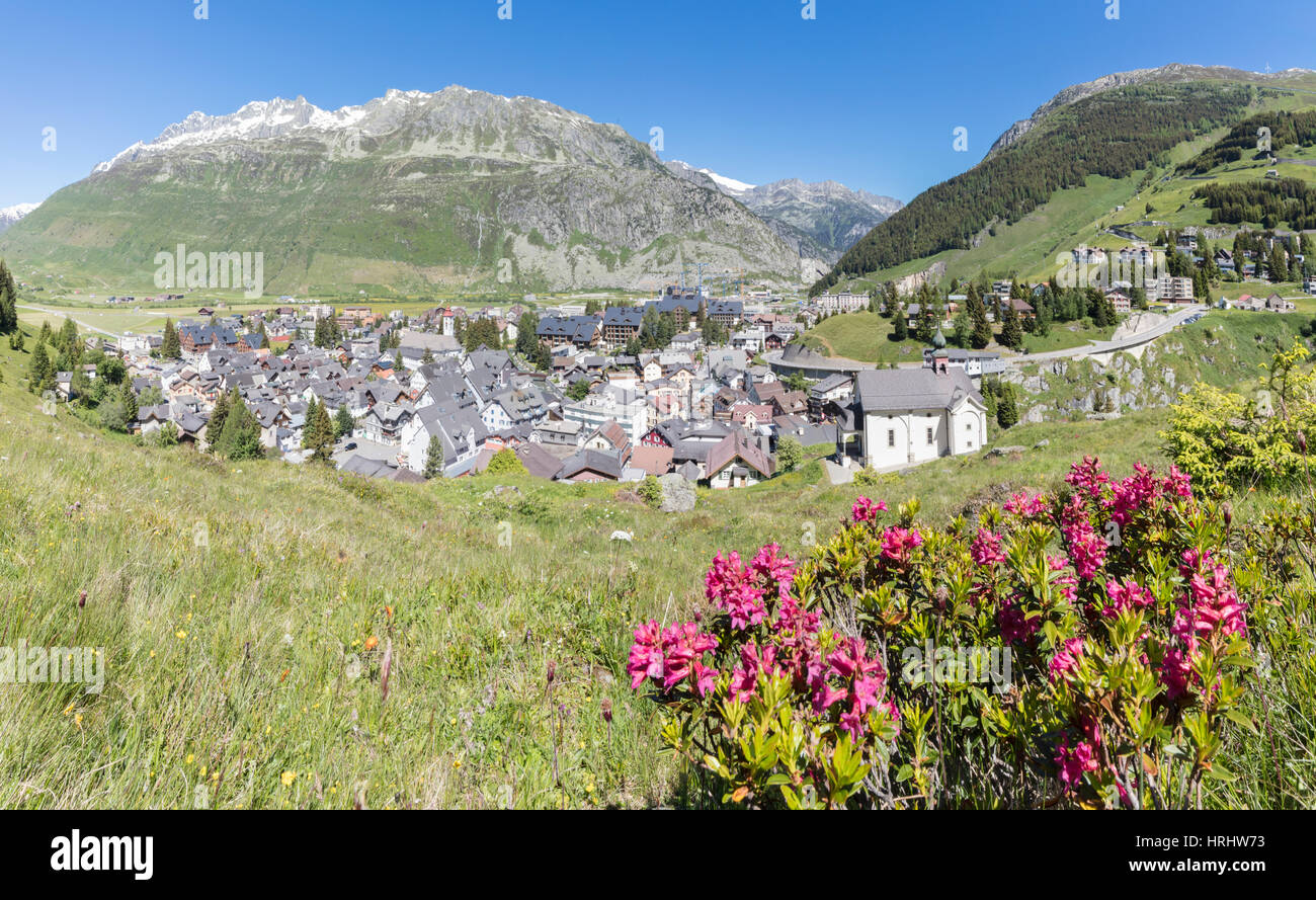 Châssis Rhododendrons le village alpin d'Andermatt, entouré de bois, Canton d'Uri, Suisse Banque D'Images