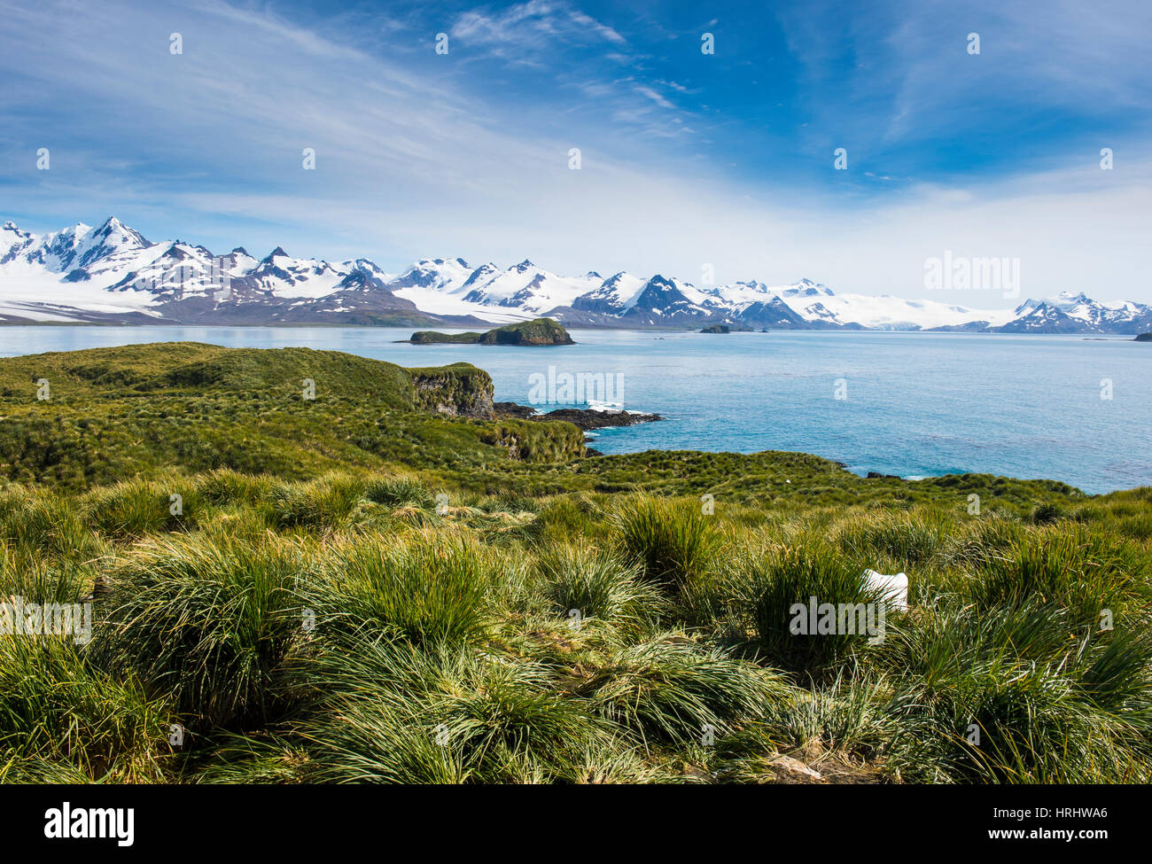 Vue sur l'île de prion, la Géorgie du Sud, l'Antarctique, régions polaires Banque D'Images