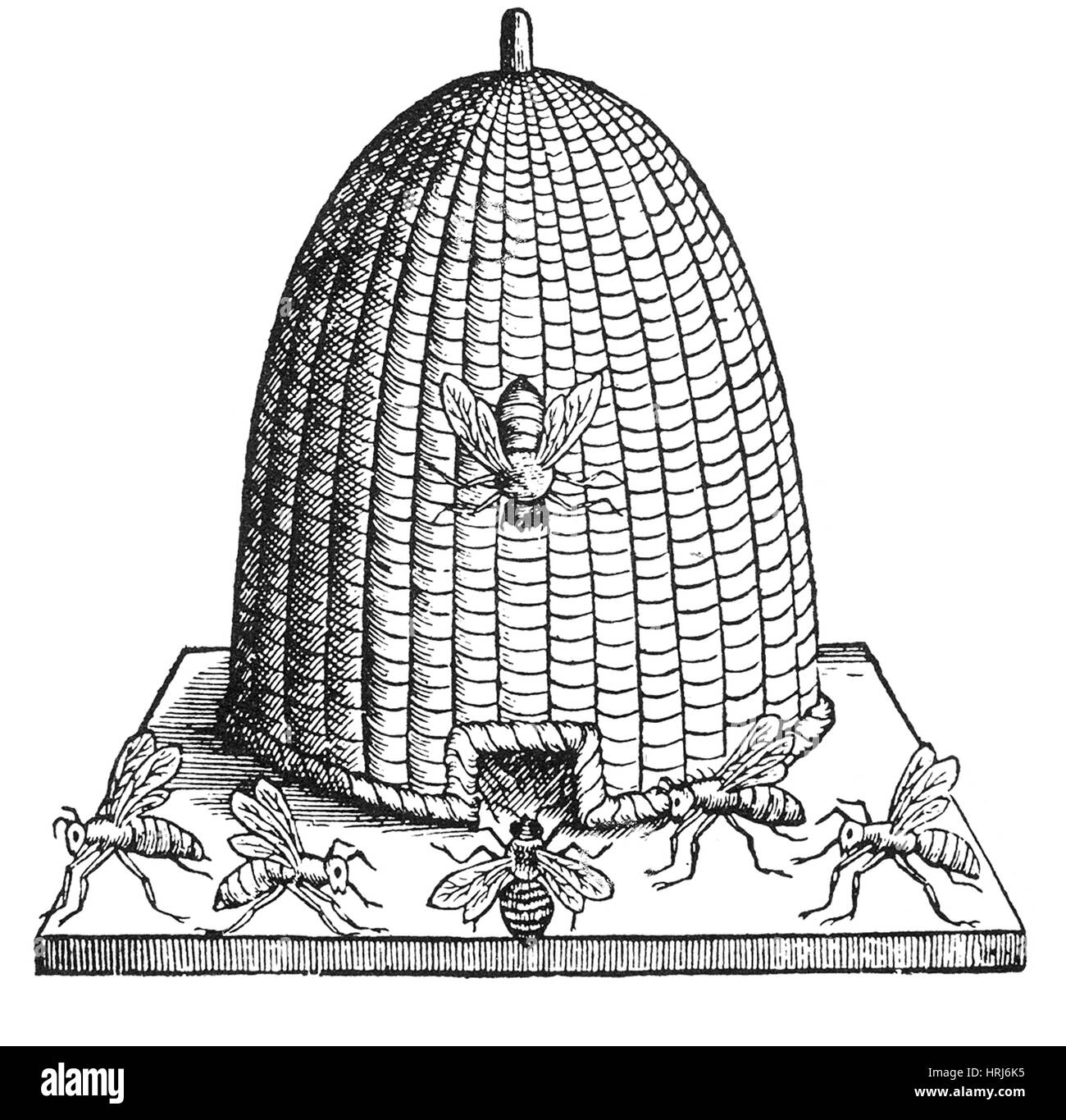 Skep ruche, 17e siècle Banque D'Images