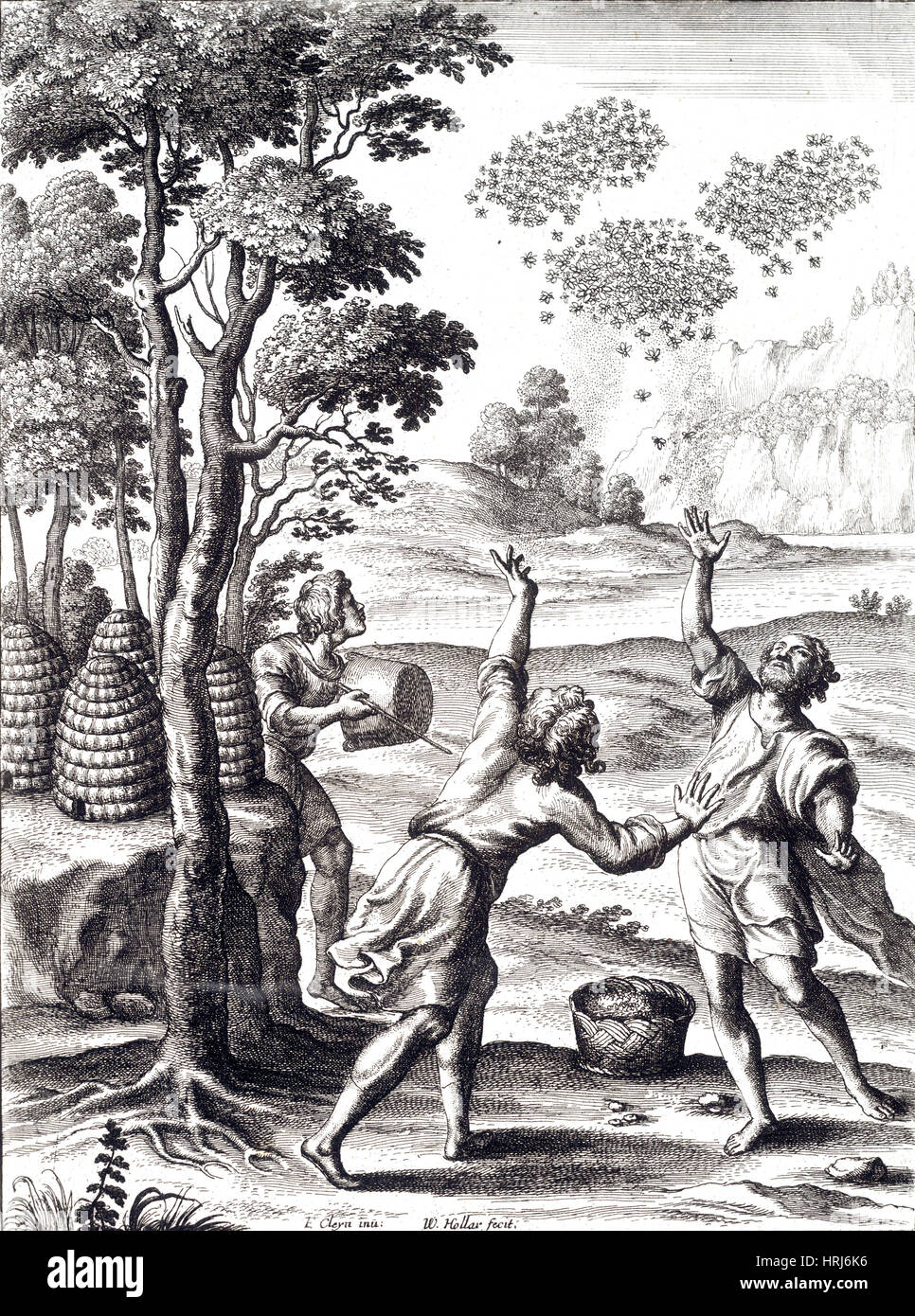 Les apiculteurs essaimer leurs abeilles Banque D'Images