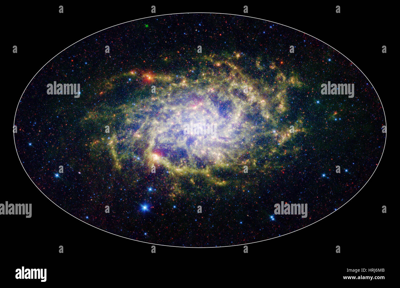 Messier 33, M33, NGC 598, Triangulum Spiral Galaxy Banque D'Images
